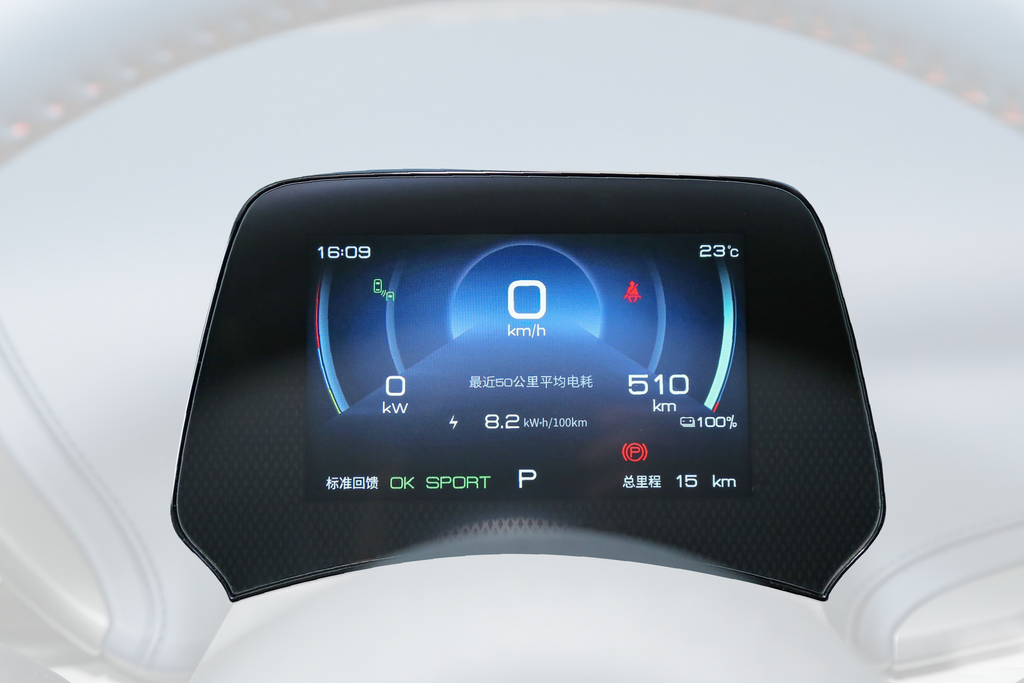 Vidrio templado pantalla tablero Dolphin