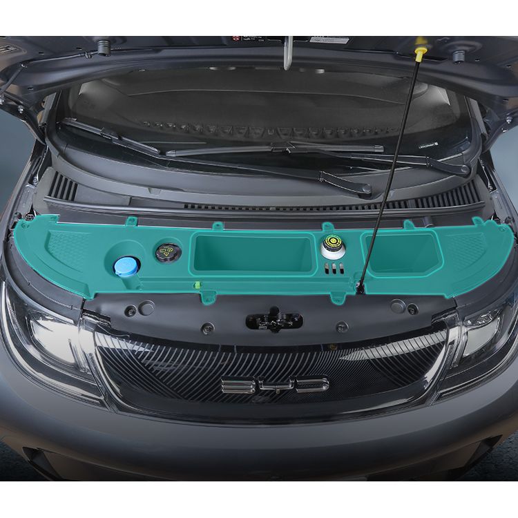 Baulera frontal (FRUNK) para Dolphin