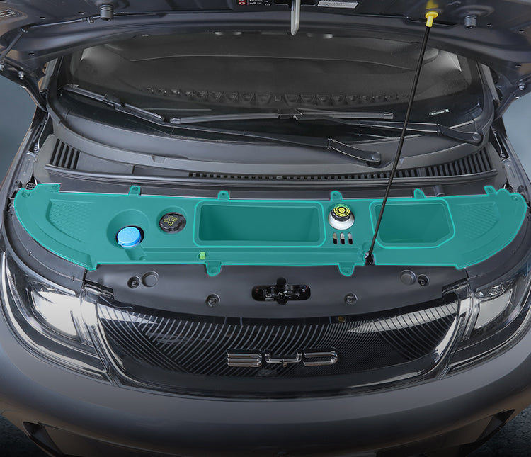 Baulera frontal (FRUNK) para Dolphin