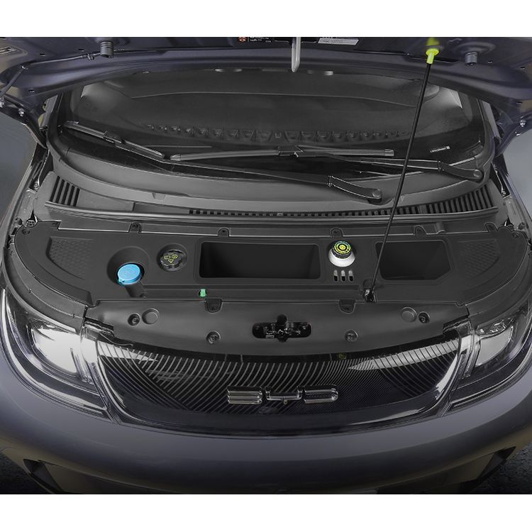 Baulera frontal (FRUNK) para Dolphin