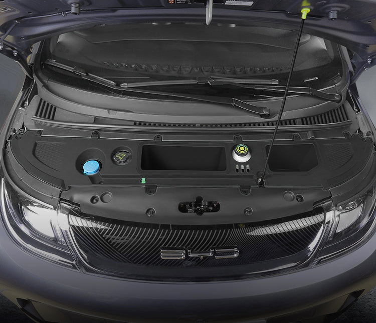 Baulera frontal (FRUNK) para Dolphin