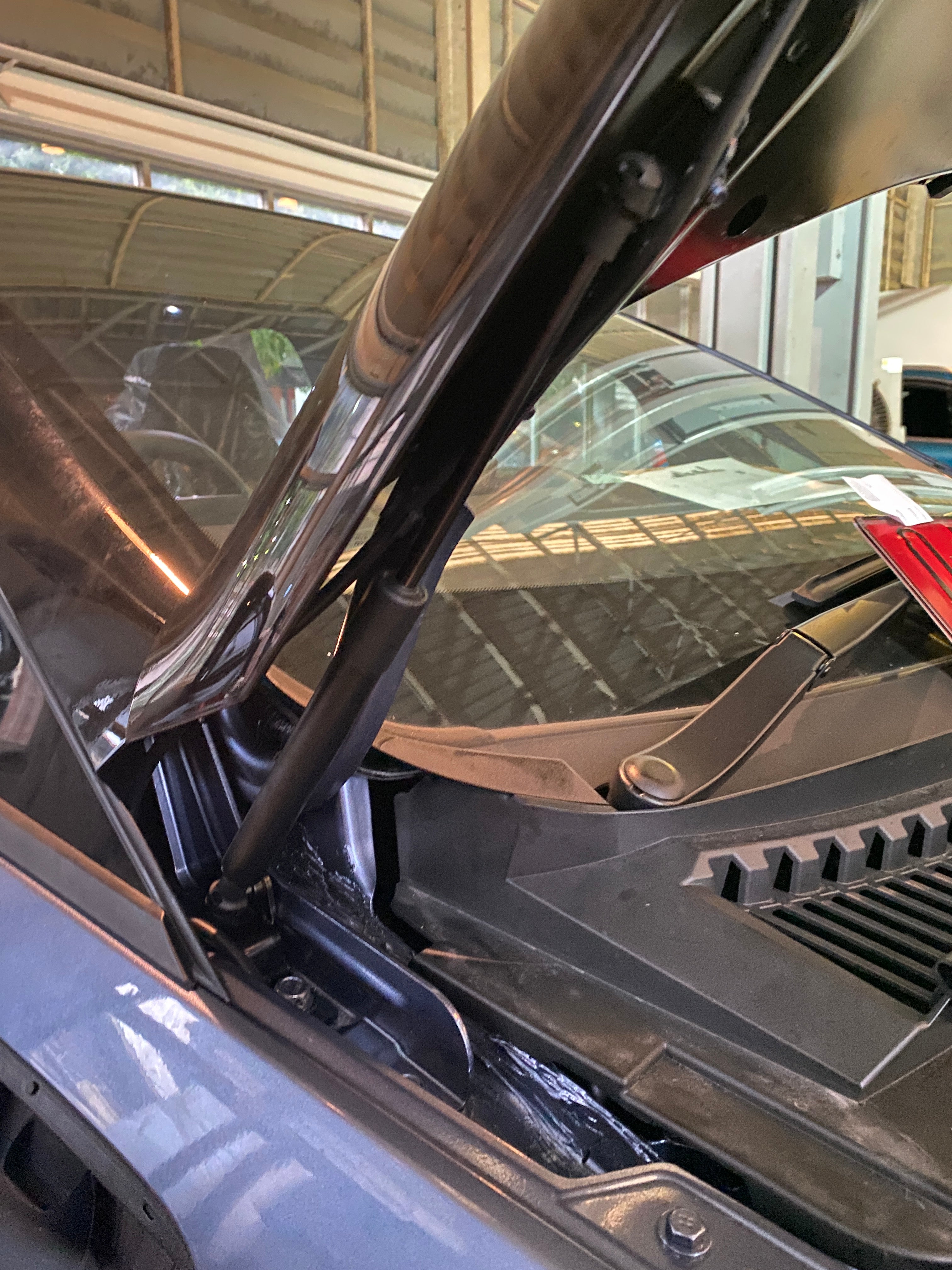 Set 2 x amortiguador capot para Dolphin