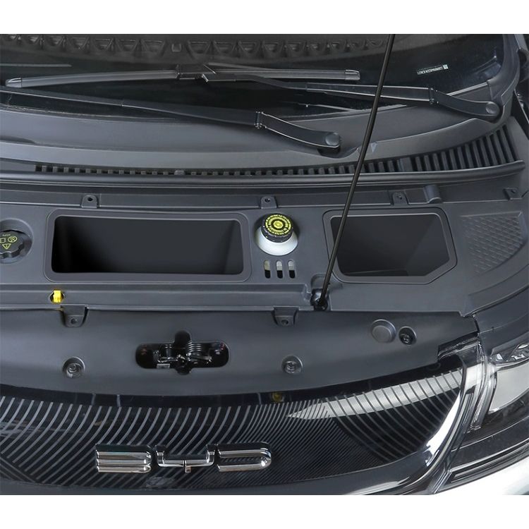 Baulera frontal (FRUNK) para Dolphin