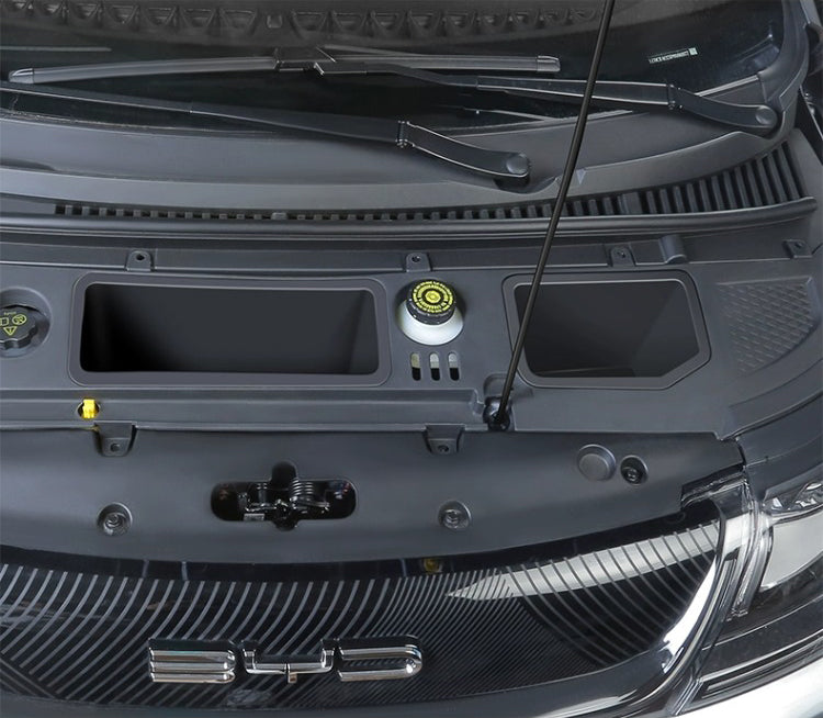 Baulera frontal (FRUNK) para Dolphin