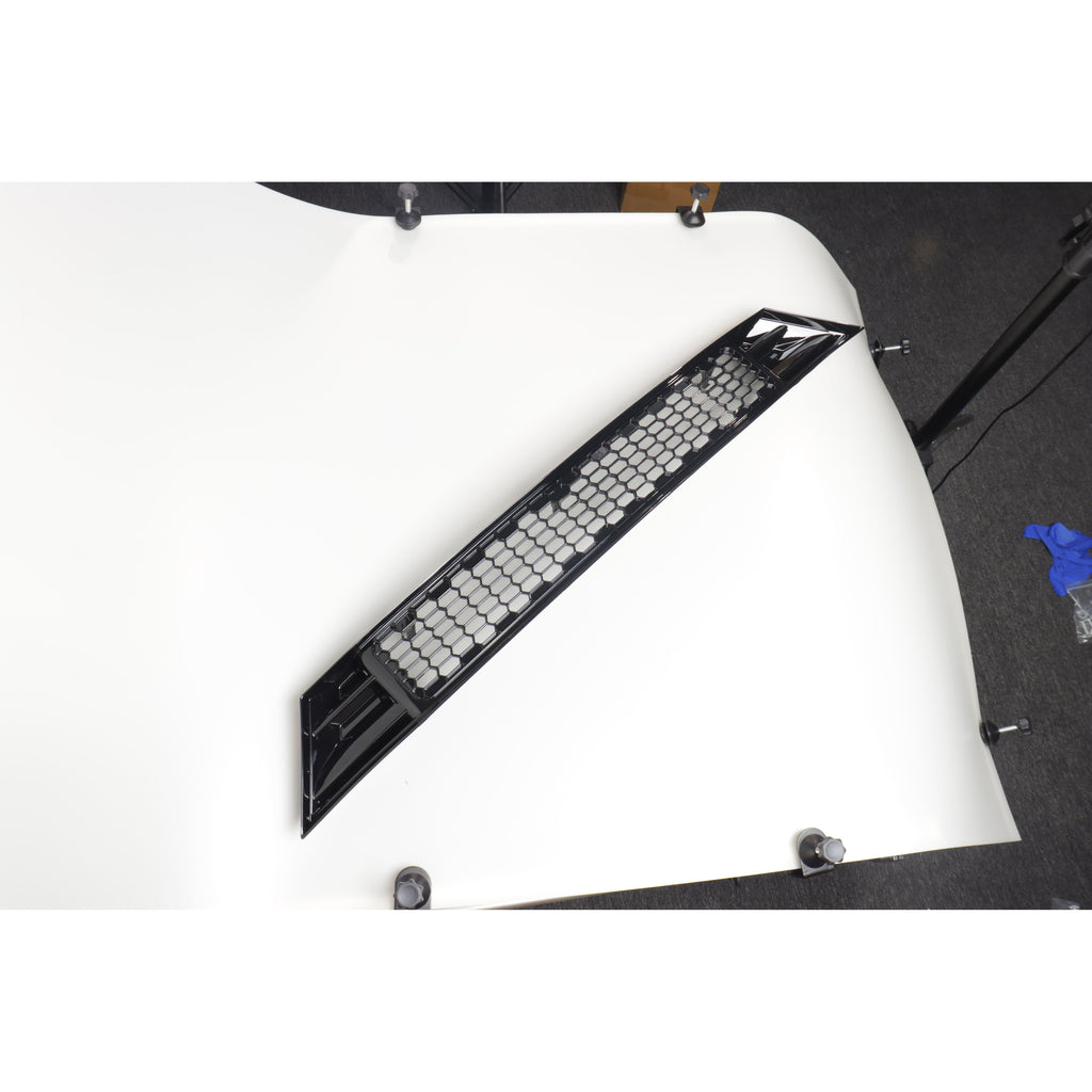 Grilla frontal con malla anti insectos para Dolphin