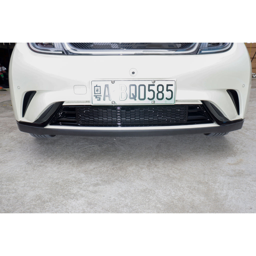 Grilla frontal con malla anti insectos para Dolphin