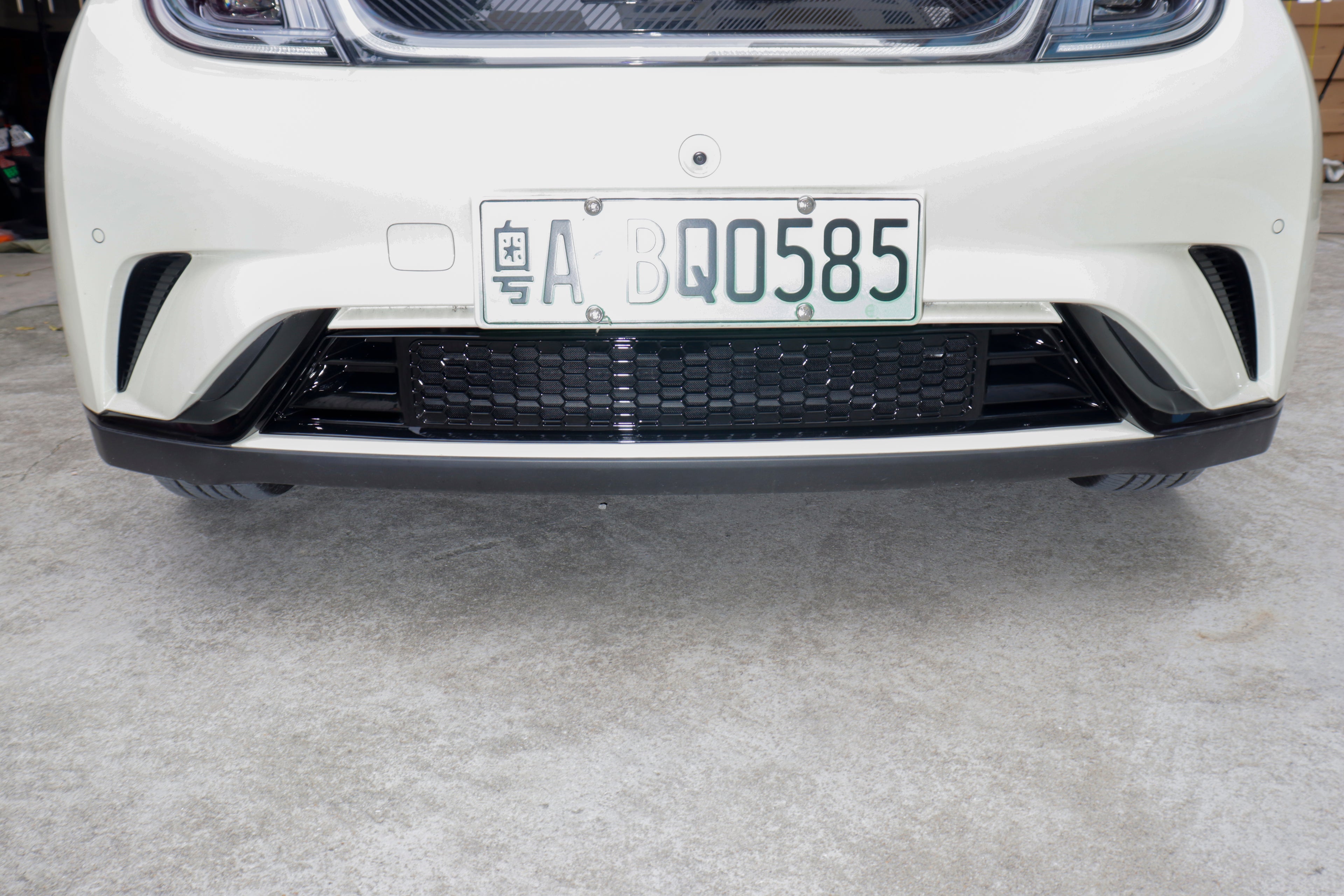 Grilla frontal con malla anti insectos para Dolphin