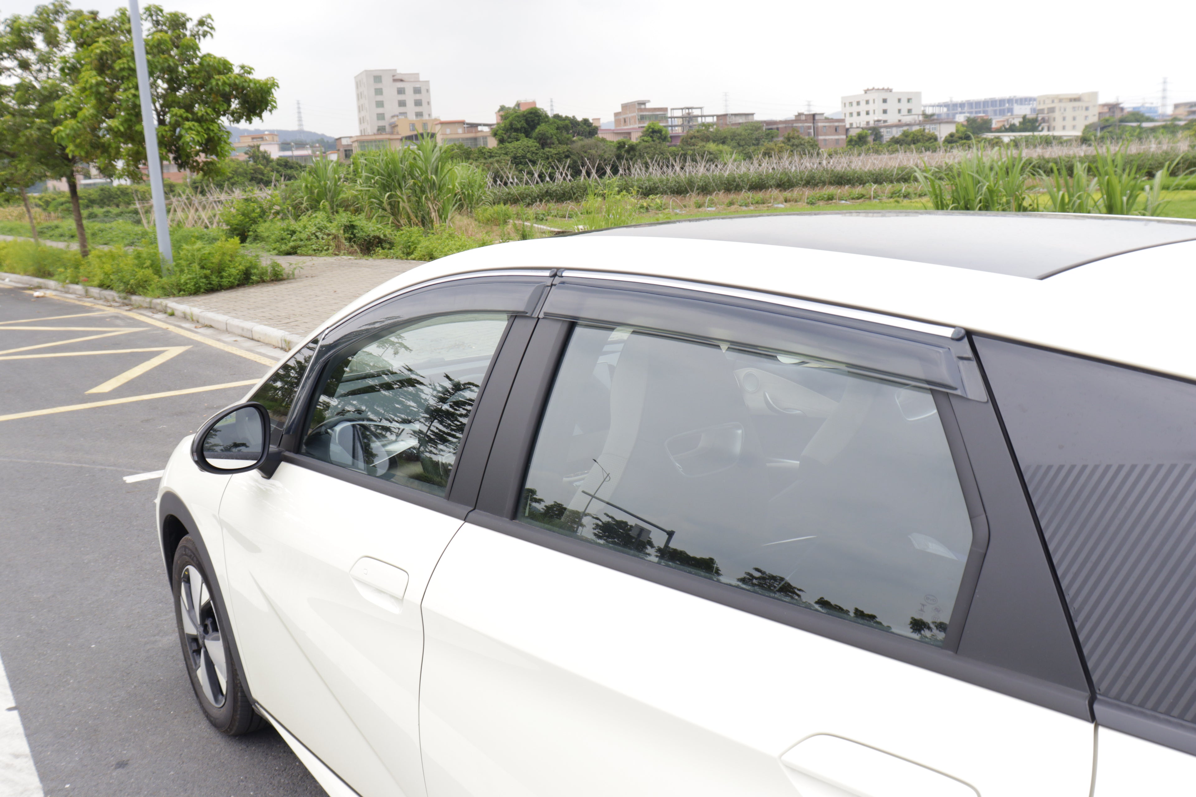 Set x 4 Goteros de ventana transparentes para Dolphin