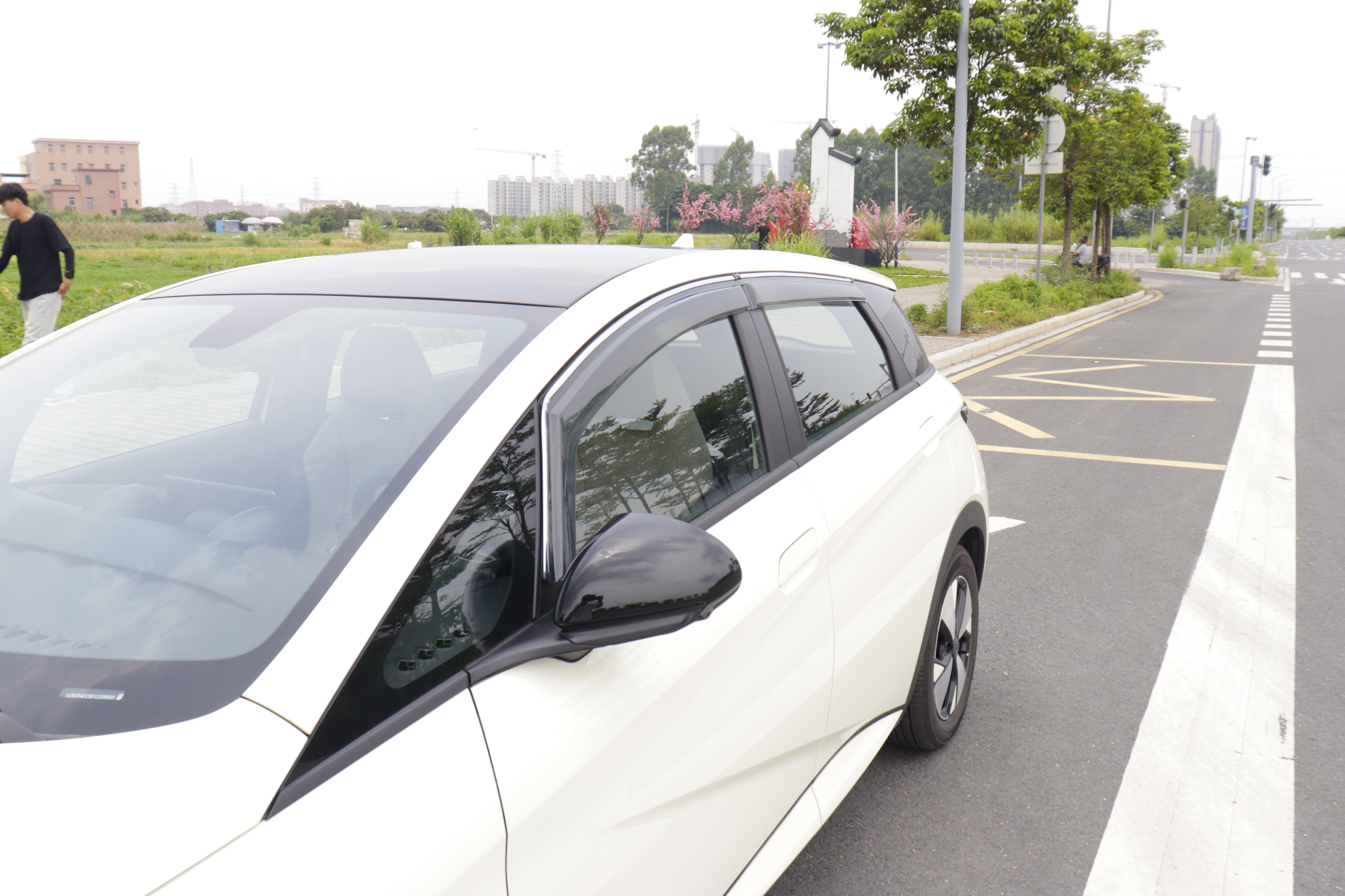 Set x 4 Goteros de ventana transparentes para Dolphin