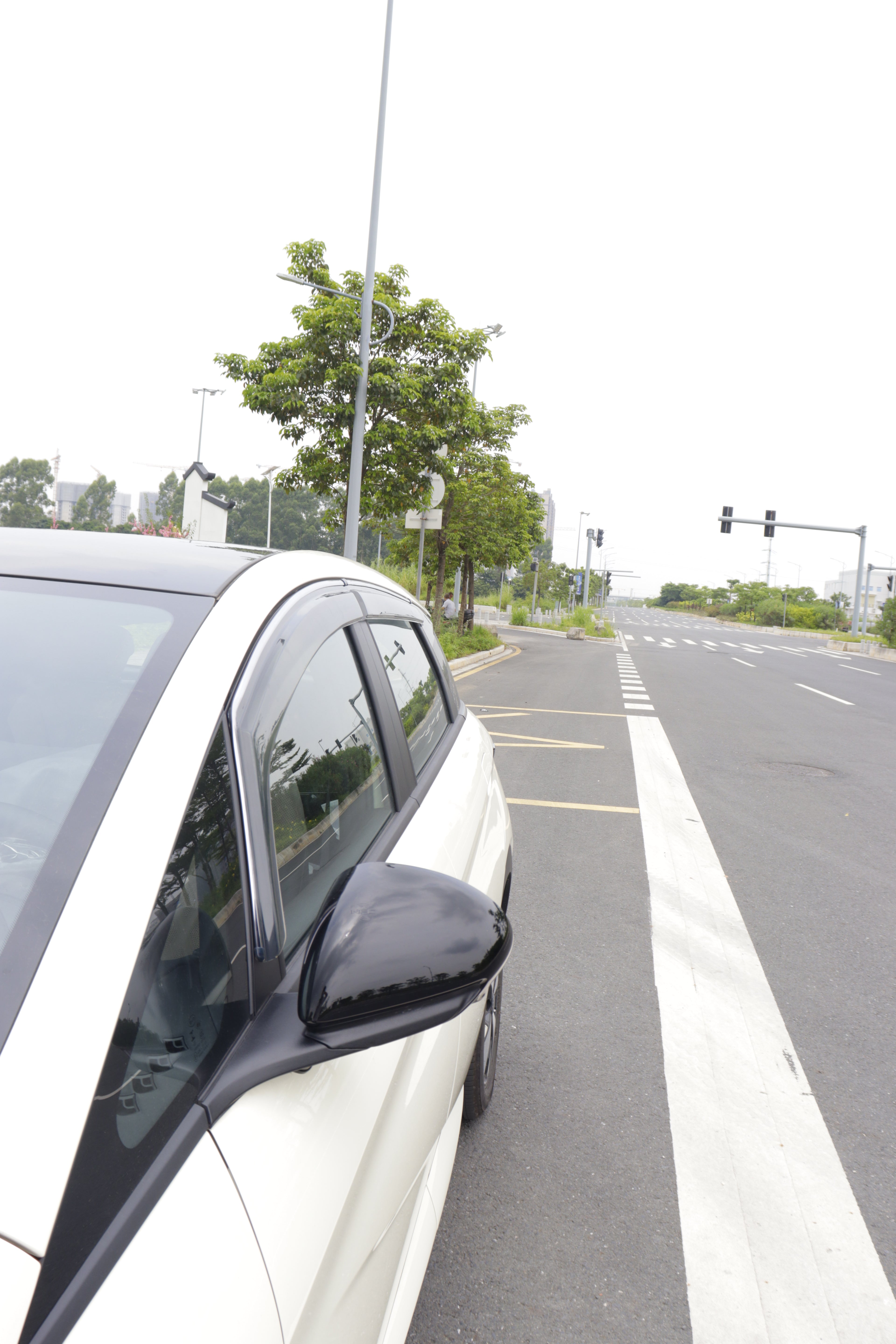 Set x 4 Goteros de ventana transparentes para Dolphin