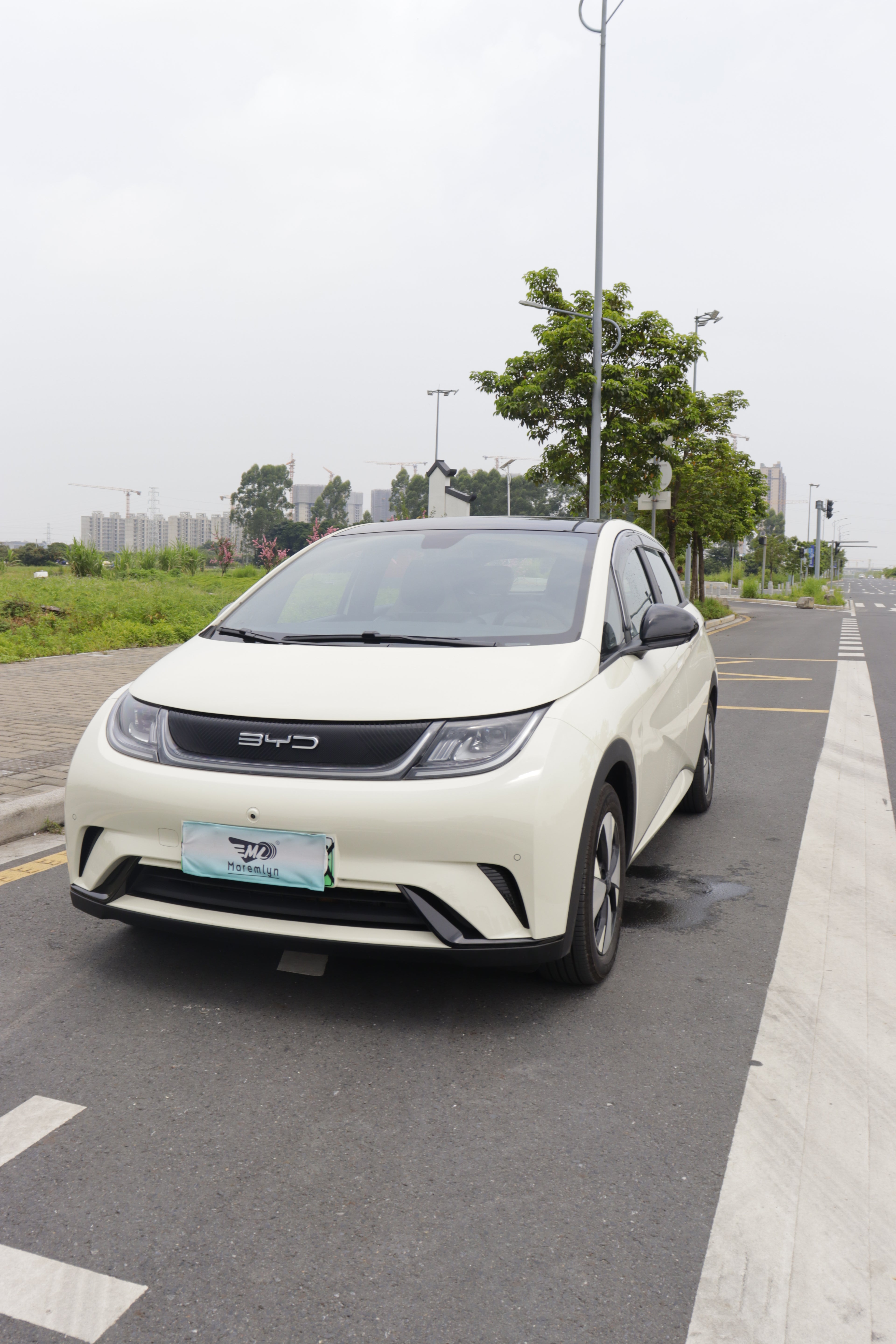 Set x 4 Goteros de ventana transparentes para Dolphin