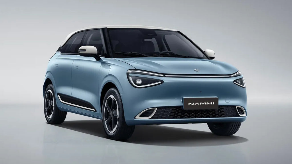 Cubre alfombras bandeja TPE para Dongfeng Nammi de EV Boutique