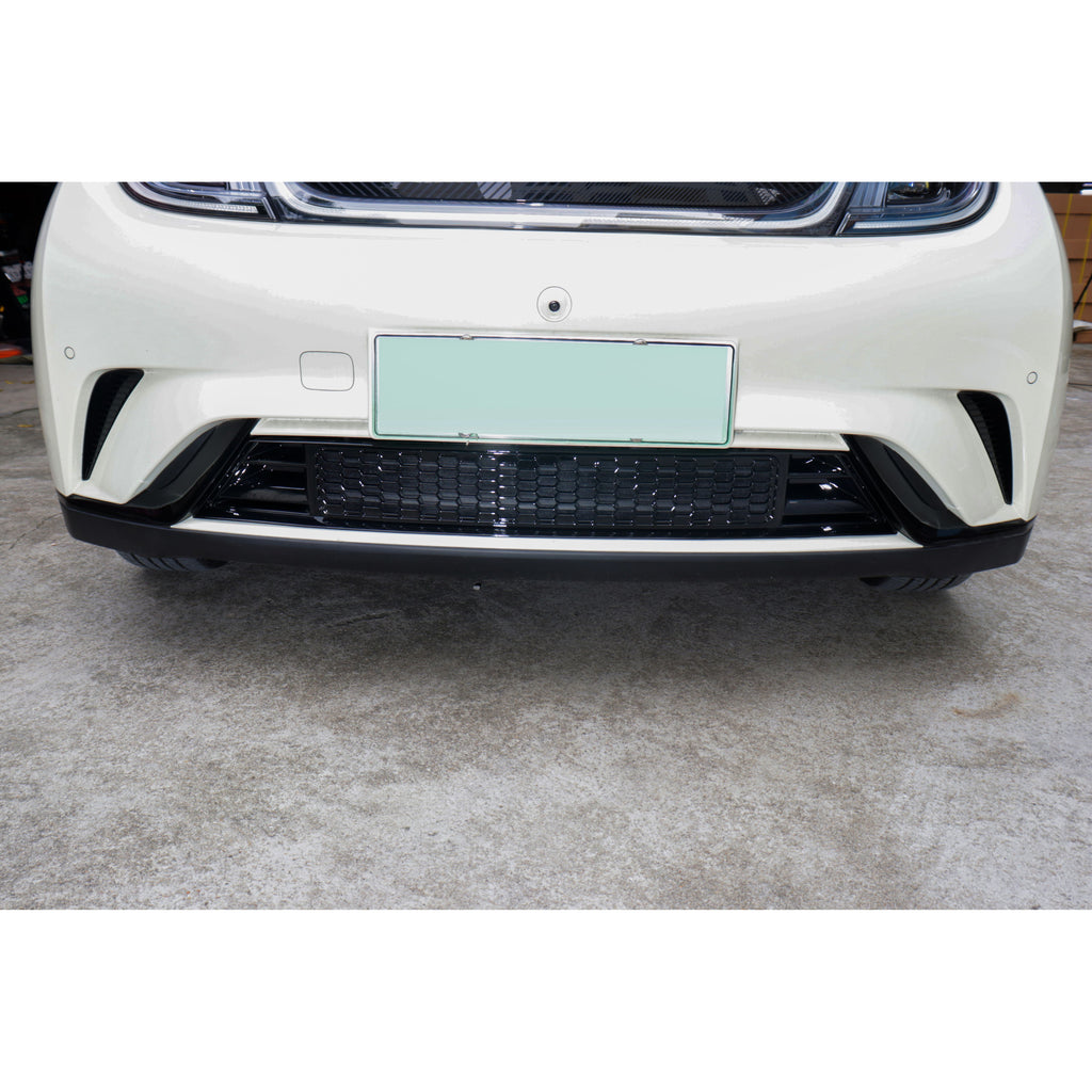 Grilla frontal con malla anti insectos para Dolphin